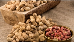 OVO SU PET NAJČEŠĆIH IZAZIVAČA ALERGIJA Reakcija na njih se još javlja u detinjstvu