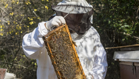 APEL PČELARIMA Prskanje protiv komaraca u ovoj opštini
