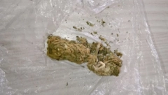 HAPŠENJE U ALEKSINCU U kući skrivao hašiš i marihuanu!