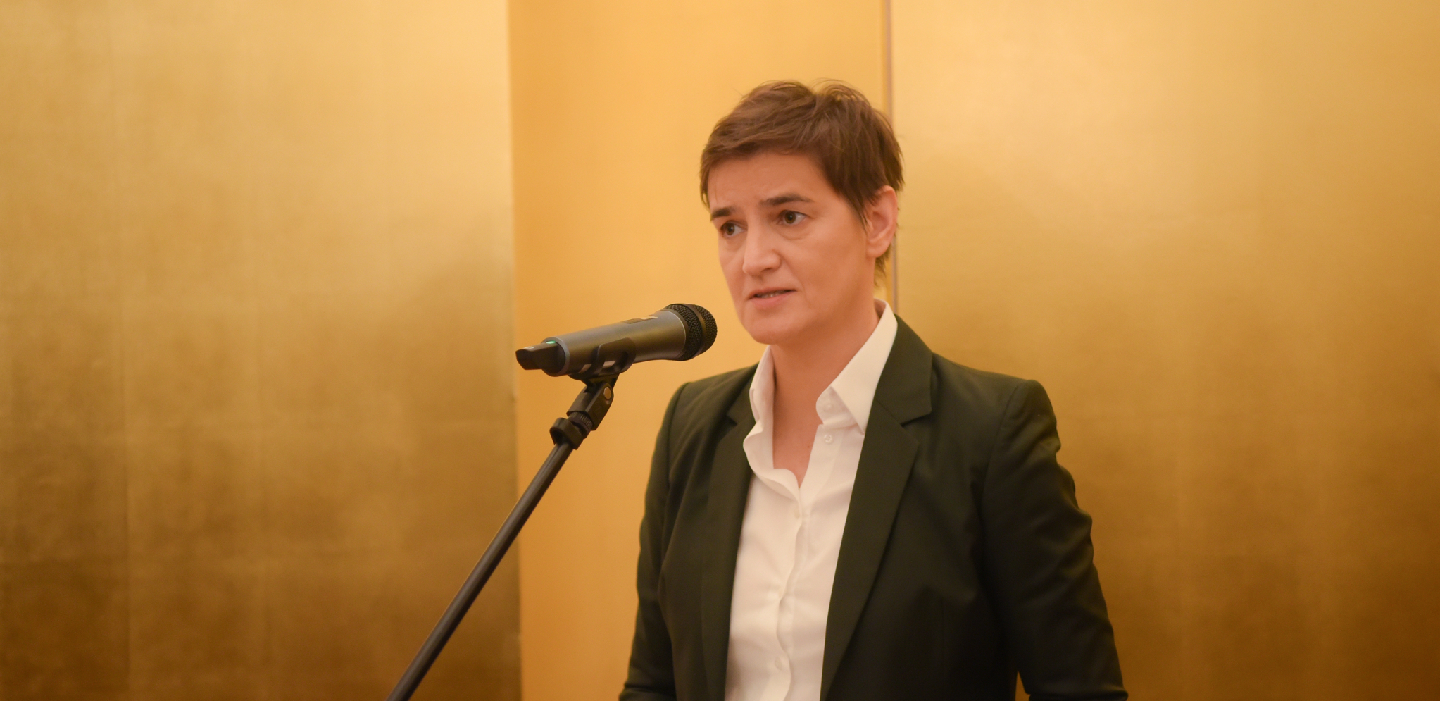 BRNABIĆ SE SASTALA SA HILOM: Postoji veliki potencijal za saradnju SAD i Srbije u oblasti energetike