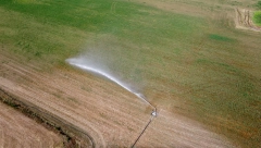 SUŠA ŽESTOKO POGODILA APENINE Proglašeno vanredno stanje u Italiji, isključene fontane, ograničenje za pijaću vodu