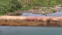 HOROR U BORČI Izvučen leš muškarca iz kanala