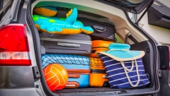 MANJE VINA, MANJE VINA Ovo je spisak stvari koje ne smete nositi preko granice, kazne mogu biti ogromne