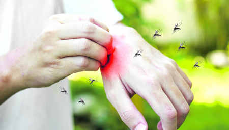 NAPRAVITE SAMI ULJE PROTIV KOMARACA Moćno sredstvo koje provereno štiti od ujeda