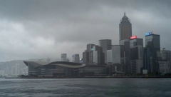 UŽAS U HONG KONGU Zamrznuto meso mačke 12 dolara!