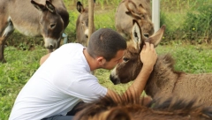 PRIČA RADOVANA DAMJANOVIĆA (17) O NJEGOVOJ FARMI MAGARACA LEČI DUŠU Mlekom ove plemenite životinje i velikim srcem pomaže bolesnima (FOTO/VIDEO)