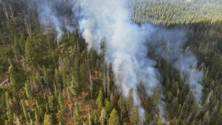 OGROMAN POŽAR U PULI Izgorele kuće, ljudi evakuisani (FOTO, VIDEO)