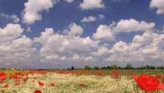 HOROSKOP ZA SUBOTU, 16. JUL Blizanci će dobiti priliku za dobru zaradu, ljubomorne scene pratiće Vagu, problem sa zglobavima imaće Rak