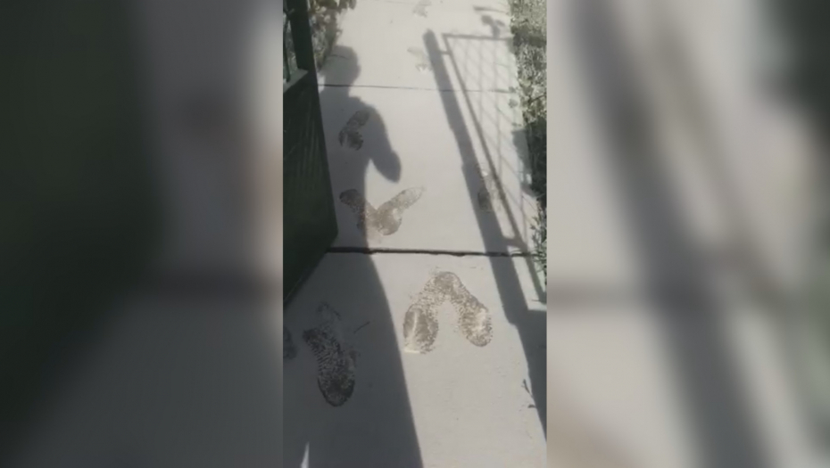 ZABELELO SE KAO USRED ZIME! Građani Čačka: Ceo voćnjak i dvorište su beli, čudo neviđeno! (FOTO/VIDEO)