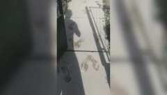 ZABELELO SE KAO USRED ZIME! Građani Čačka: Ceo voćnjak i dvorište su beli, čudo neviđeno! (FOTO/VIDEO)