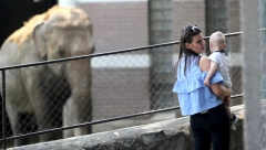 TUGA U BEOGRADSKOM ZOO VRTU Uginula Tvigi u 58. godini, bila je zaštitni znak