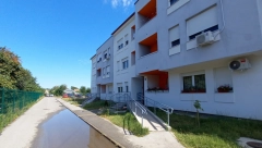 SMETAJU JOJ ŽIVOTINJE Nova upravnica zgrade pravi probleme komšijama zbog kućnih ljubimaca, pale čak i PRETNJE