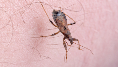 KUPAČI SE ŽALE DA IH NEŠTO UJEDA, OD TOGA DOBIJAJU OZBILJNE REAKCIJE! Misterija srpskog jezera, niko ne zna ŠTA je to što ih napada!