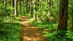 SAZNAJTE ŠTA VAŠA PODSVEST KRIJE I KAKO PROBLEMI UTIČU NA VAS Uzmite papir i olovku i uradite ovaj psihološki test