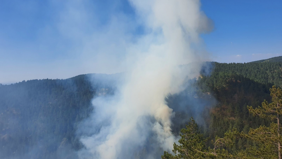 OGROMNI POŽARI NA GRANICI ITALIJE I SLOVENIJE Pomoć stiže sa svih strana, vatra ne prestaje da se širi