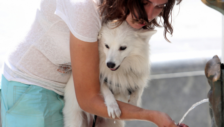 VISOKE TEMPERATURE I TROPSKE NOĆI Sutra do 38 stepeni, ali to je ništa u odnosu na ono šta nas čeka sledeće nedelje