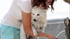 "EL NINJO ĆE DA PRŽI JAČE NEGO IKAD" Klimatolog najavljuje paklenu godinu: "Bila vam je topla 2023? NIJE TO NIŠTA!"