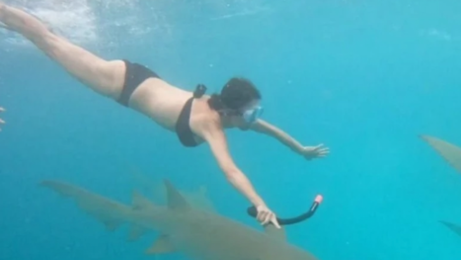 SRPSKA VODITELJKA RONI SA AJKULAMA Šok potez sve ostavio bez teksta, zabrinuti pratioci odmah reagovali, a njena reakcija je hit (FOTO)