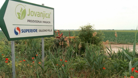 PALA LAŽ O ANDREJU I JOVANJICI Opoziciona novinarka priznala da se vodila perfidna kampanja protiv predsednikovog brata