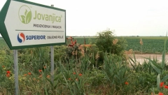 PALA LAŽ O ANDREJU I JOVANJICI Opoziciona novinarka priznala da se vodila perfidna kampanja protiv predsednikovog brata