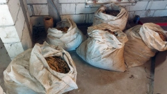 KRIVIČNA ZA PANČEVCA Krio više od tone duvana u skladištu