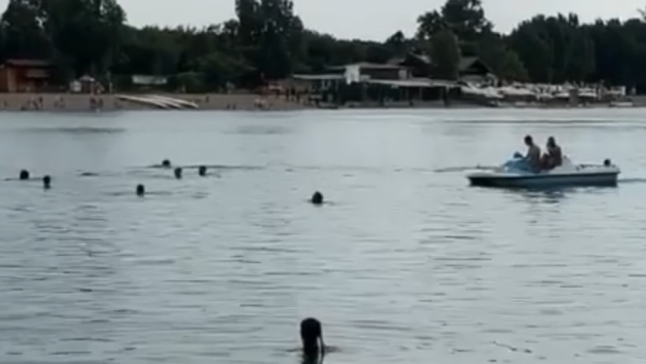 RONILAC PRETRAŽUJE ADU Traje potraga za mladićem koji je nestao u vodi, na licu mesta Hitna pomoć (VIDEO)
