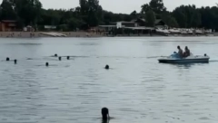 RONILAC PRETRAŽUJE ADU Traje potraga za mladićem koji je nestao u vodi, na licu mesta Hitna pomoć (VIDEO)