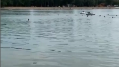 LEŠ PRONAĐEN U JEZERU Horor na Adi Ciganliji