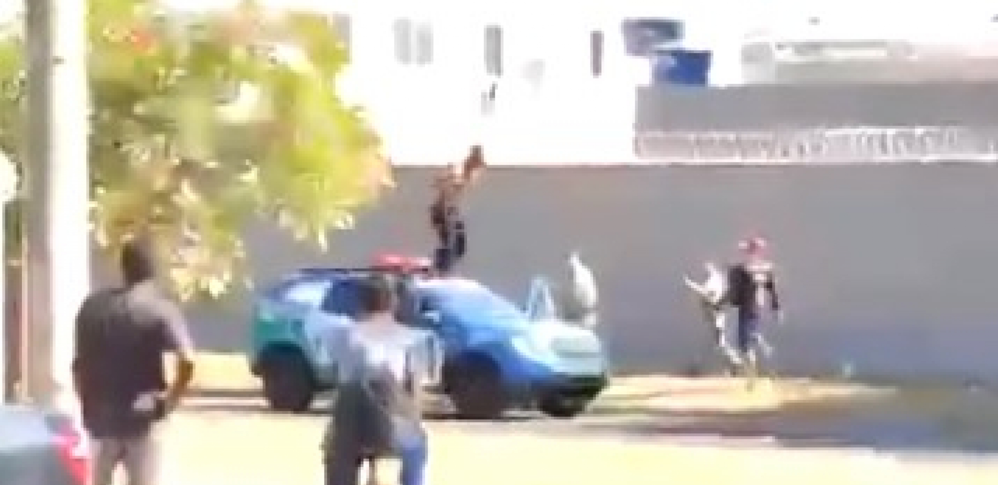 TRAGEDIJA U BRAZILU Potonuo brod, poginulo najmanje 11 putnika!