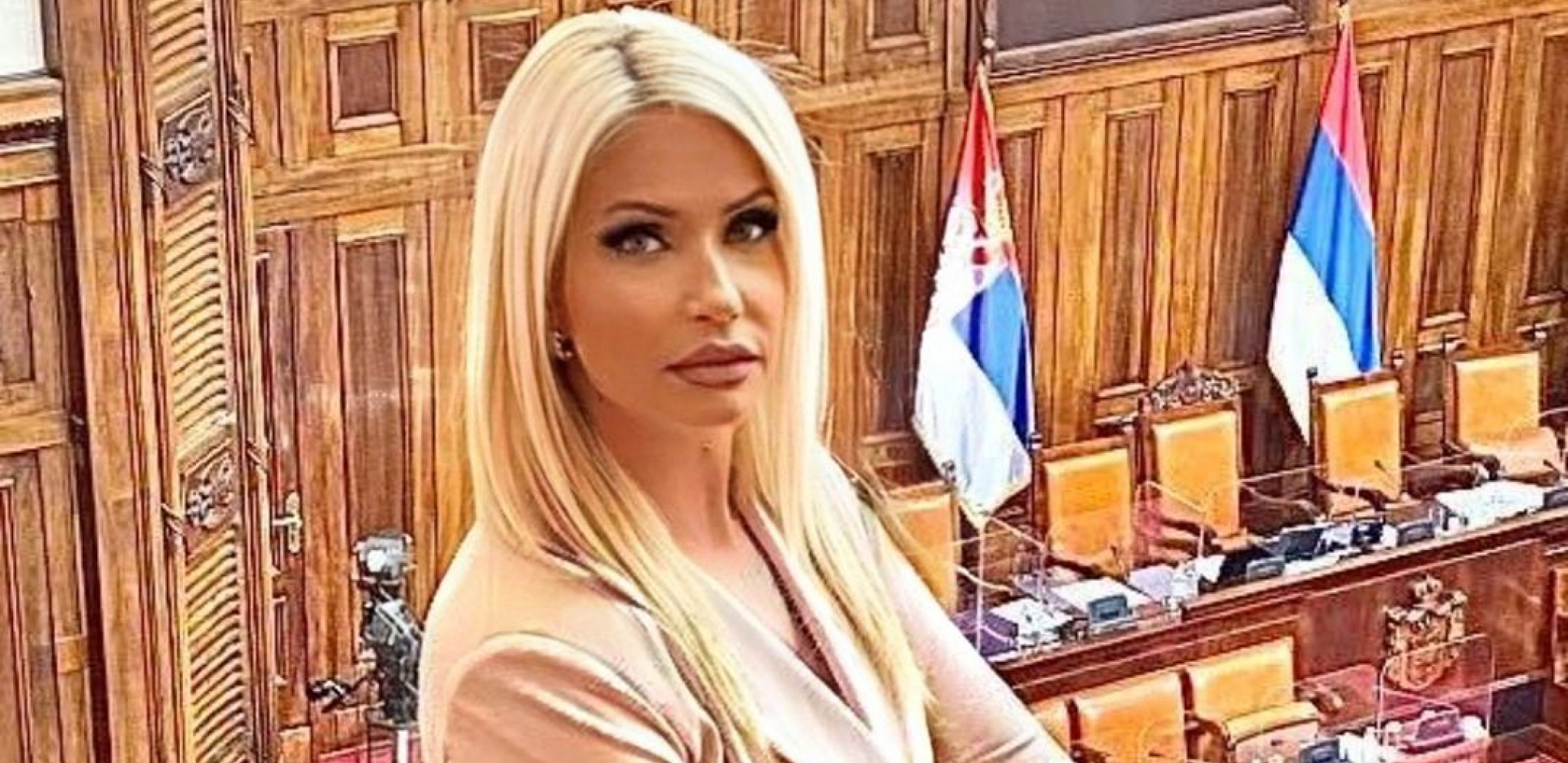 Božić: Jeremić katastrofalnom politikom rasparčavao Srbiju