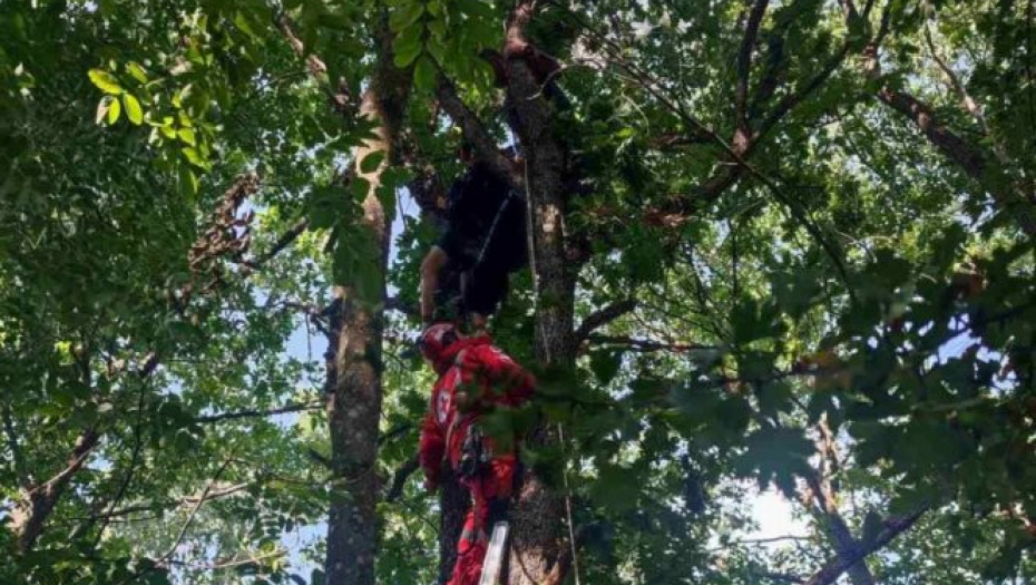 PARAGLAJDERISTA VISI SA DRVETA Drama se odigrala kod Svrljiga, reagovala policija (FOTO)