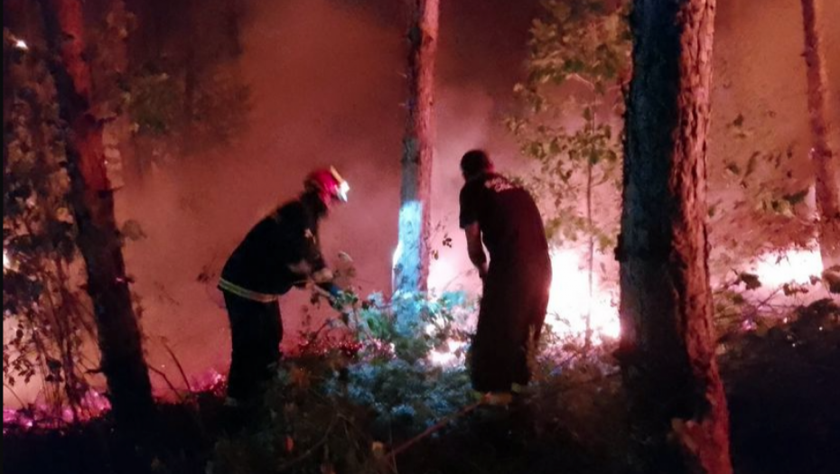 VATRENA STIHIJA KOD PREŠEVA STAVLJENA POD KONTROLU Pogledajte akciju gašenja požara (FOTO/VIDEO)