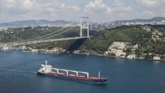 TERETNI BROD SA KUKURUZOM IZ UKRAJINE PREBAČEN U ISTANBUL Bosfor ponovo otvoren za plovidbu