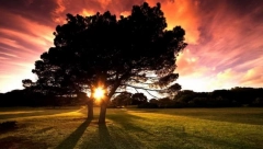 HOROSKOP ZA SUBOTU, 13. AVGUST: Ovna očekuje povoljan dan na poslu, Bik će upoznati atraktivnu osobu, a Devica mora hitno kod lekara