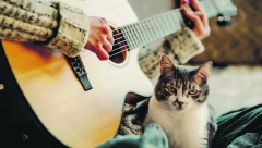 BIRAJTE MUZIKU NIŽIH TONOVA Uživaju u zvuku gitare