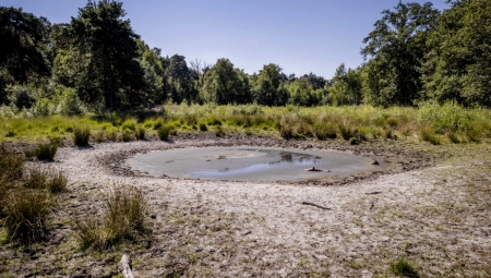 SUŠA POGODILA ENGLESKU, UVEDENE RESTRIKCIJE VODE! U Velikoj Britaniji je danas zvanično proglašena elementarna nepogoda