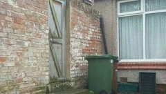 NEGDE U DVORIŠTU SE NALAZI MACA Ljudi gledaju fotografiju satima, a ne mogu da je pronađu