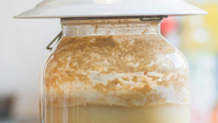 RUSI GA ZOVU INFUZIJA ŽIVOTA Napitak koji lečI upalu pluća, čisti telo od toksina i sluzi