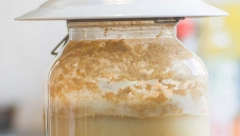 RUSI GA ZOVU INFUZIJA ŽIVOTA Napitak koji lečI upalu pluća, čisti telo od toksina i sluzi