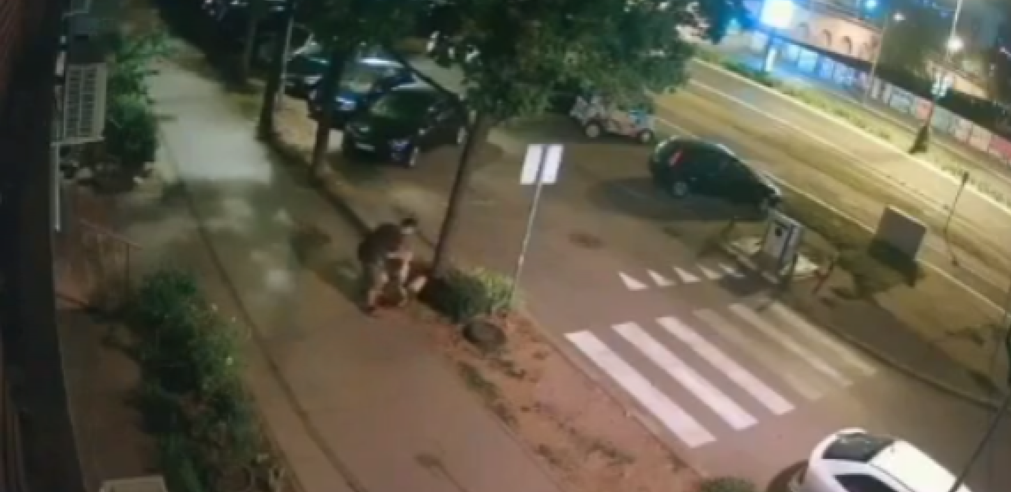 POLICIJA TRAGA ZA MUŠKARCEM SA NOVOG BEOGRADA Snimljen da šutira devojku na sred ulice