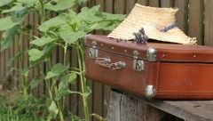 MORBIDNO I JEZIVO: Na aukciji su kupili stare kofere, a unutra su bile kosti maloletne dece (VIDEO)