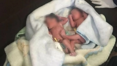 OČEKIVALE SU ŠTENAD Kad su se žene približela žbunju, otkrile su jezivu istinu