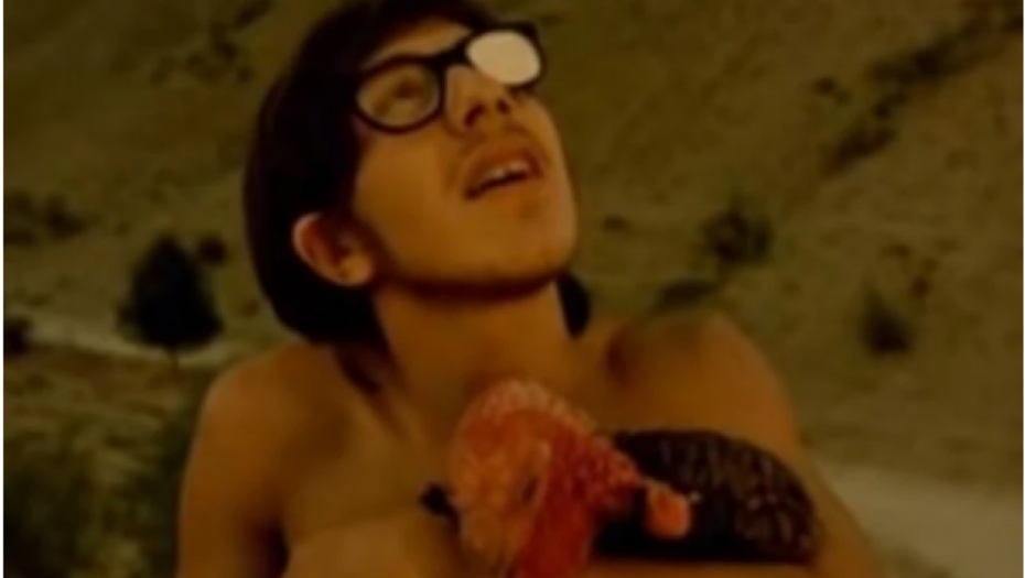 TRAGIČNA SUDBINA ČUVENOG PERHANA Znate ga iz filma "Dom za vešanje", a legendarni glumac je život okončao na brutalan način