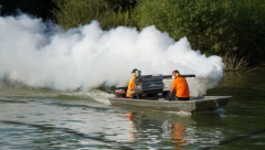 UJEDAJU GDE STIGNU, SISAJU KRV I NE REAGUJU NA SPREJEVE! Beograđani, nema više patnje: Ova vest će vas obradovati!