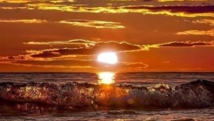 HOROSKOP ZA PETAK, 16. SEPTEMBAR Strelca očekuje poslovni uspeh, Vaga će imati problema u braku, a Bik mora hitno kod lekara