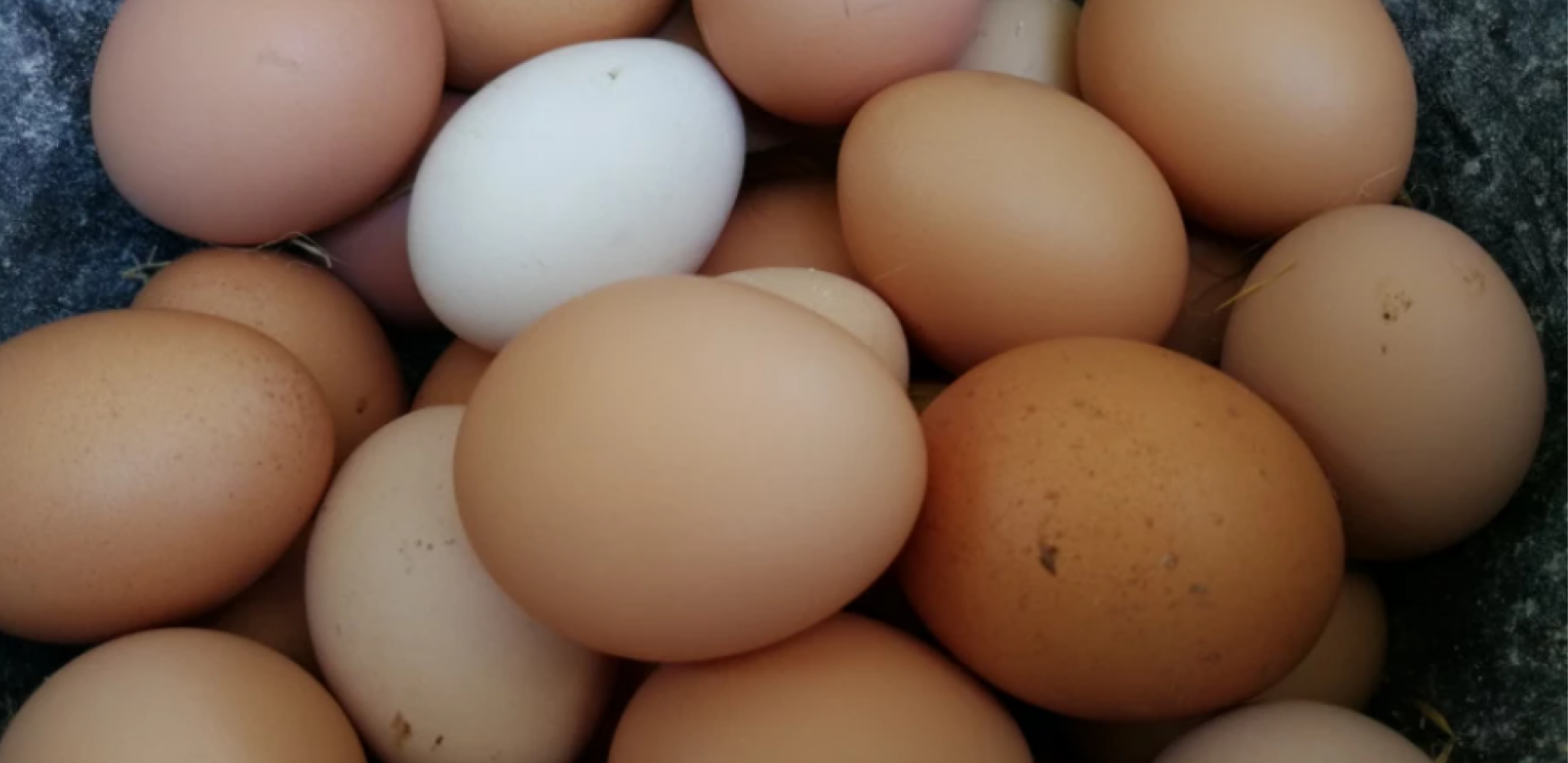 CENA JAJA U HRVATSKOJ JE PAPRENA U poslednjih godinu dana poskupela duplo više nego u EU