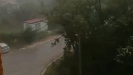 SNAŽNO NEVREME PROTUTNJALO SRBIJOM! Vetar čupao drveće! (VIDEO)