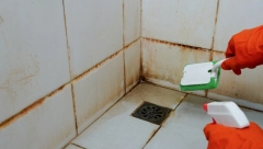 TRIK KOJI SVE DOMAĆICE DELE: Pojavila joj se užasna buđ u tuš kabini, a ona je uništila bez pola muke