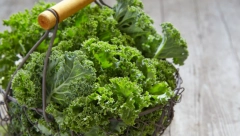 SRBI OVU BILJKU IZBEGAVAJU, A JEDNA JE OD NAJZDRAVIJIH Njen sok je smrt za holesterol, tvrde da je jači i od lekova