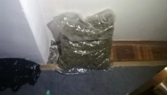 HAPŠENJE ZBOG DROGE Zaplenjeno 30 kilograma marihuane!